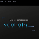 「VeChain (ヴィチェイン)」正規品と証明することに特化したプロジェクト！