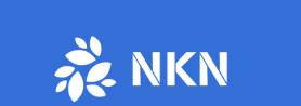 「New Kind of Network（NKN）」ブロックチェーンの脆弱性を克服する仮想通貨プロジェクト！