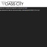 「Oasis City（オアシスシティ）」VRをビジネスに利用するブロックチェーンプロジェクト！