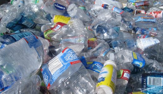 海洋プラスチックごみ回収でトークン獲得、食料品や授業料へ利用可能
